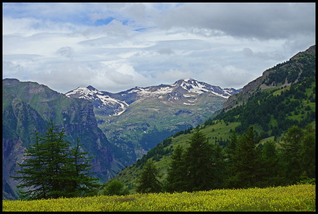 plateau fleuri