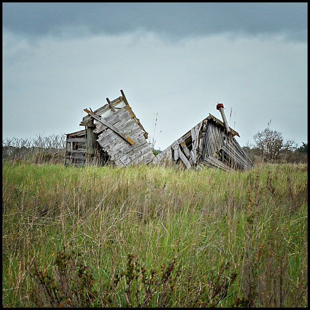 cabane