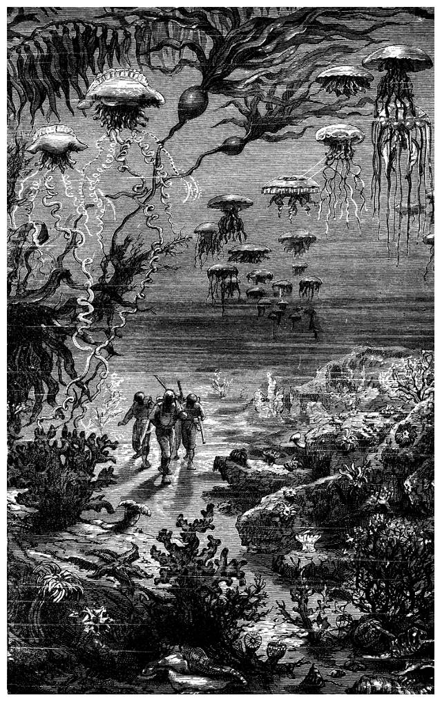 illustration-Hetzel-editions-Twenty-Thousand-Leagues-inkbluesky2.jpg